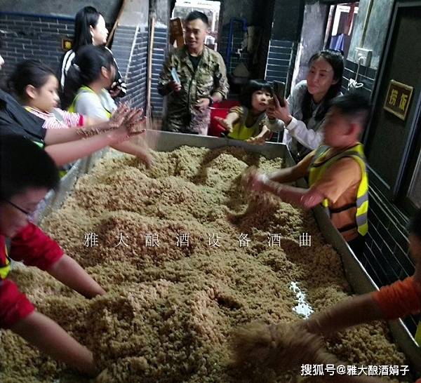 双峰寨引进电加热酿酒设备,邀请游客体验堆花酒酿造全