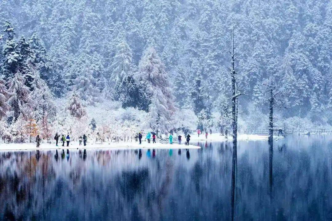 不用羡慕!东北太远,川西雪景照样美翻,2020四川赏雪攻略来啦!