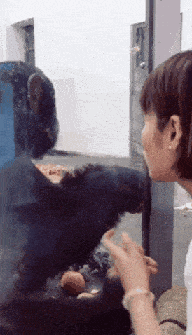 搞笑gif段子:再比划?看我神龙摆尾,噗~香吗?