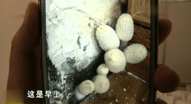 3afbc9a8095240c395f7d4a7889bad88.png