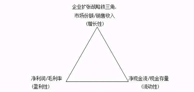 企业财务管理:财务扩张战略铁三角