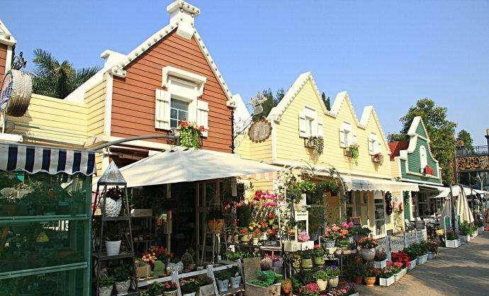 深圳南山有个荷兰花卉小镇, 因独特的欧洲风情而闻名!