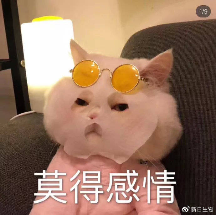有哪些看一眼就想拿来发朋友圈的句子?(附表情包)