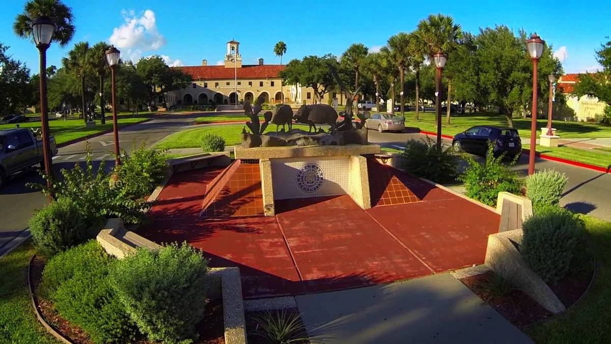 德克萨斯大学达排名%_全美国际生录取率最高大学!这三所录取率竟达99%!