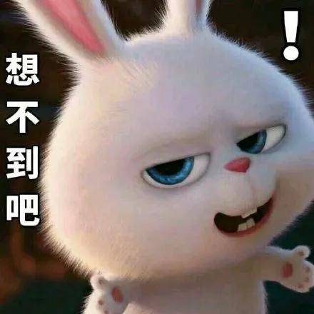 藏语帅哥怎么写