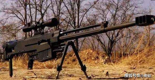 2.精确国际l96a1狙击步枪