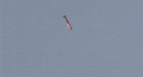 4bb3fac6f95a416dbbdf6f0abf9f3b4a.gif