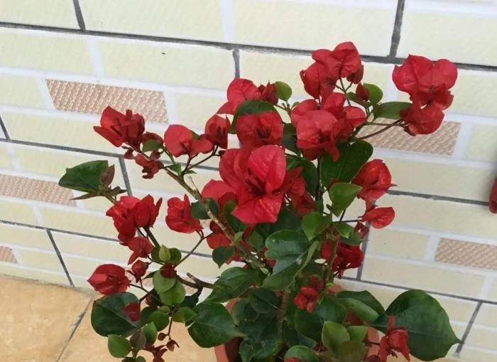 902cf56175d1436a9edca953c53817aa.jpeg
