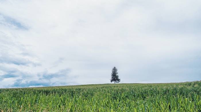 家电产业发展到今天，做生意赚钱方法其实很简单！-家电圈官网