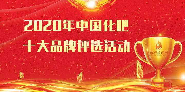 2020年书包品牌十大_快讯:“2020中国十大地产年度品牌案例”揭晓