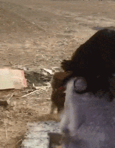 搞笑gif段子:女票:起来,叫你喝,让你喝个够!还喝不喝了!