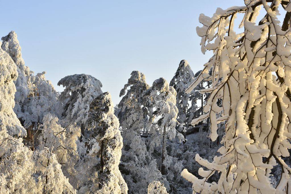 2020年冬季黄山雾凇云海雪景日出日落专线摄影采风