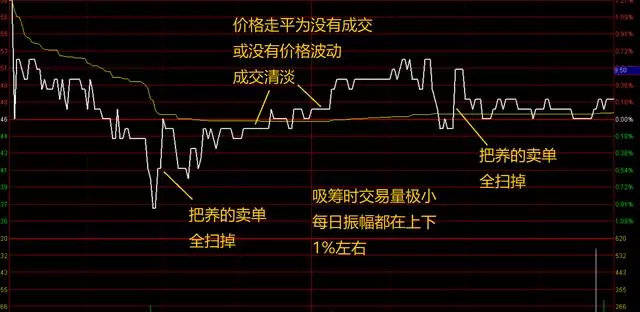 df13e024a5a74a46ada0546acc72aa1b.jpeg