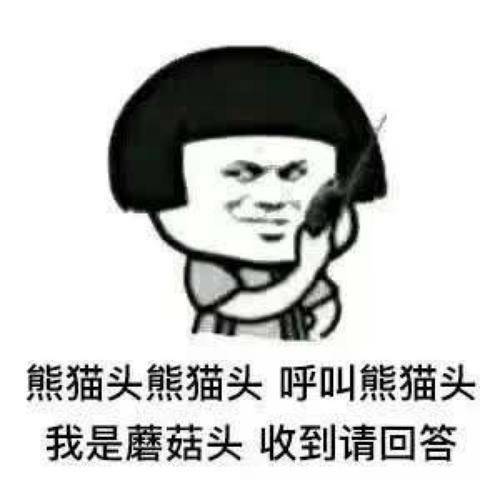 544a2bbef4ee443ebacceb826324b889.jpeg