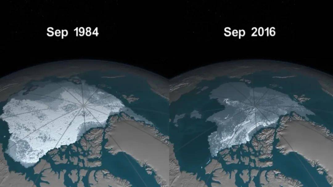 几十年来北极冰盖明显收缩 图片来源:nasa