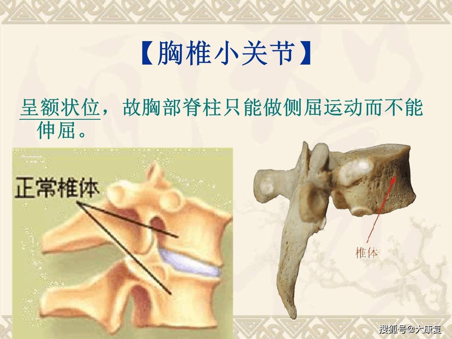 多由于轻度的急性颈扭伤,使滑膜嵌入小关节之间,造成小关节交锁或脱位