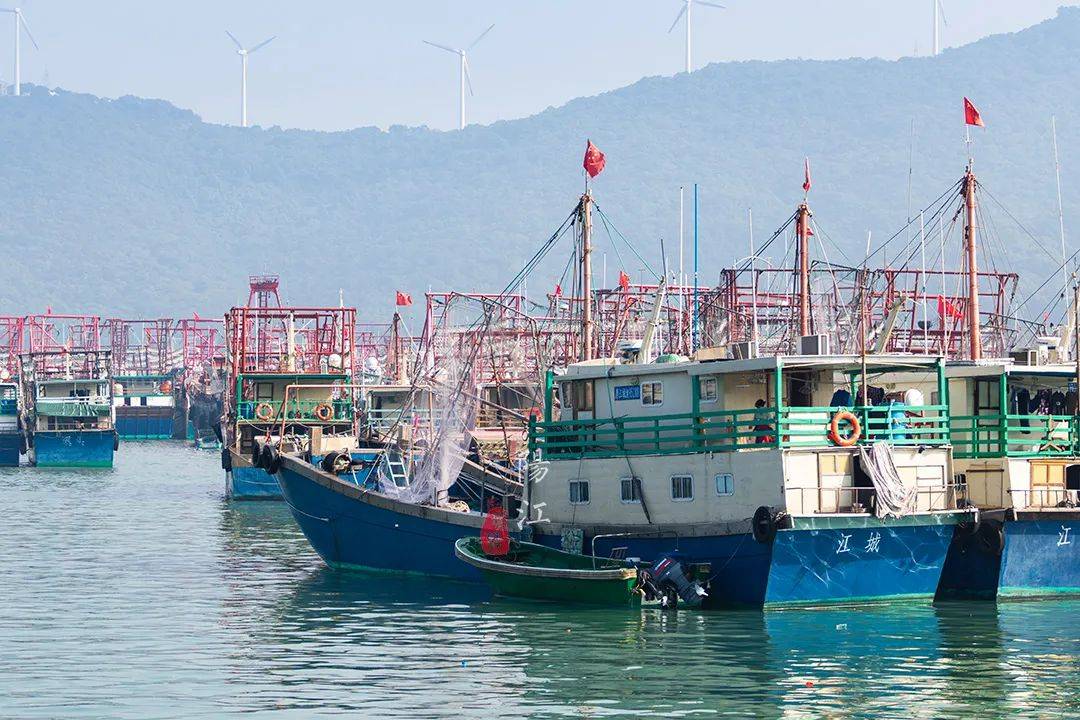 渔船|海上集市见过吗？这里是全国十大渔港之一，还是“广东鱼仓”