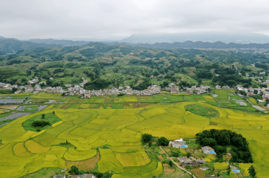 这是四川兴文共乐镇独有的美景