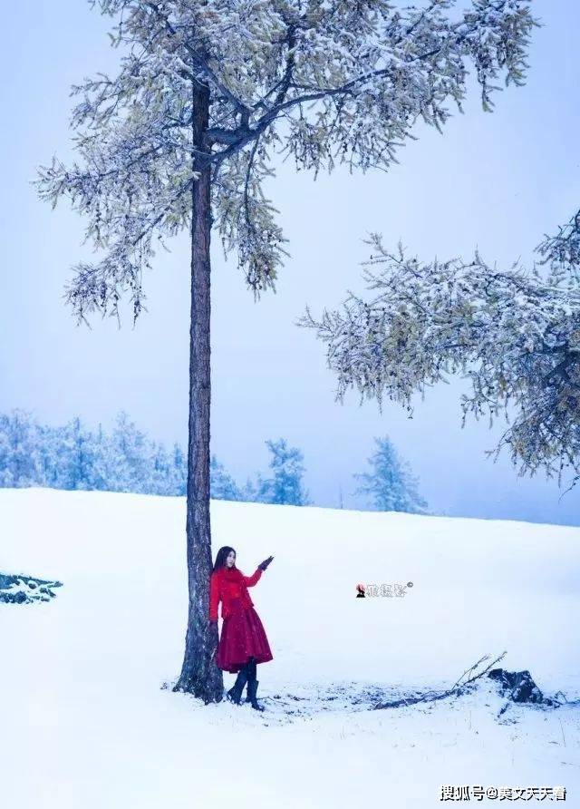 下雪了,谁与你唯美了这个季节