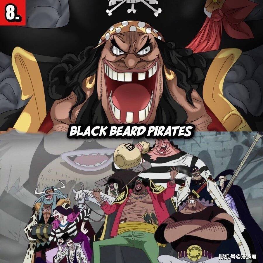 海贼团排名_草帽海贼团