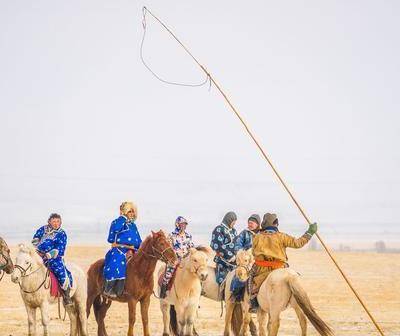 冬季内蒙古旅行:领略套马杆的汉子和赛马的爷们儿带给你的激情_手机