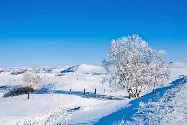 来乌兰布统草原看雪吧，这藏着一个新的童话世界