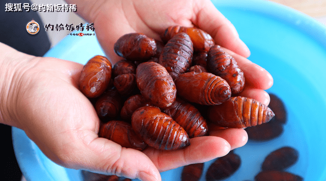 硬菜的搞笑图片 cfb75aa0ff2f45ef99d2d21dfd04072a.png