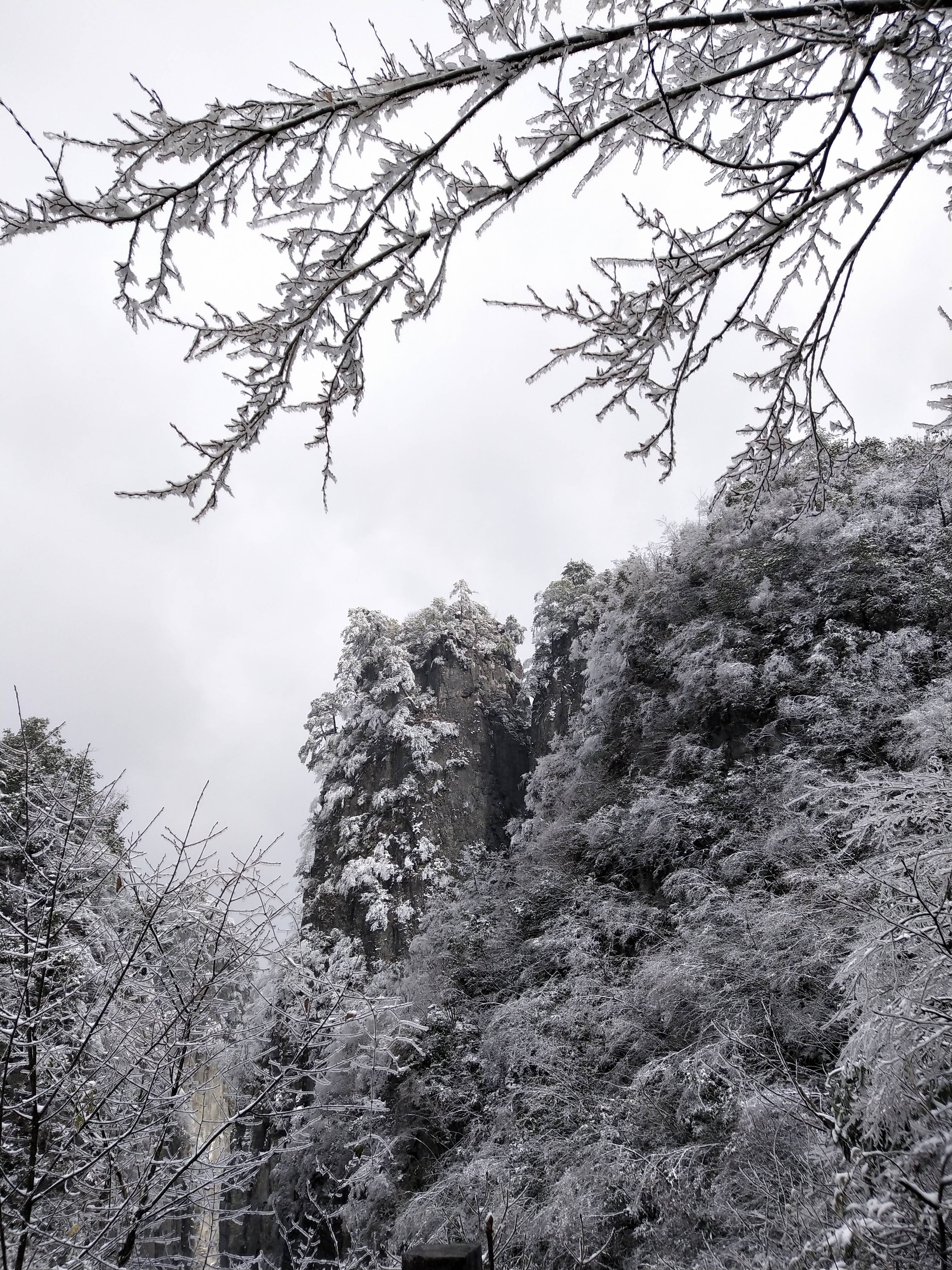 手机随手拍,恩施大峡谷雪景