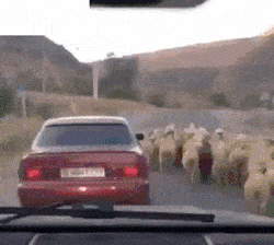 搞笑gif段子:告诉你什么才叫顺手牵羊_舅舅