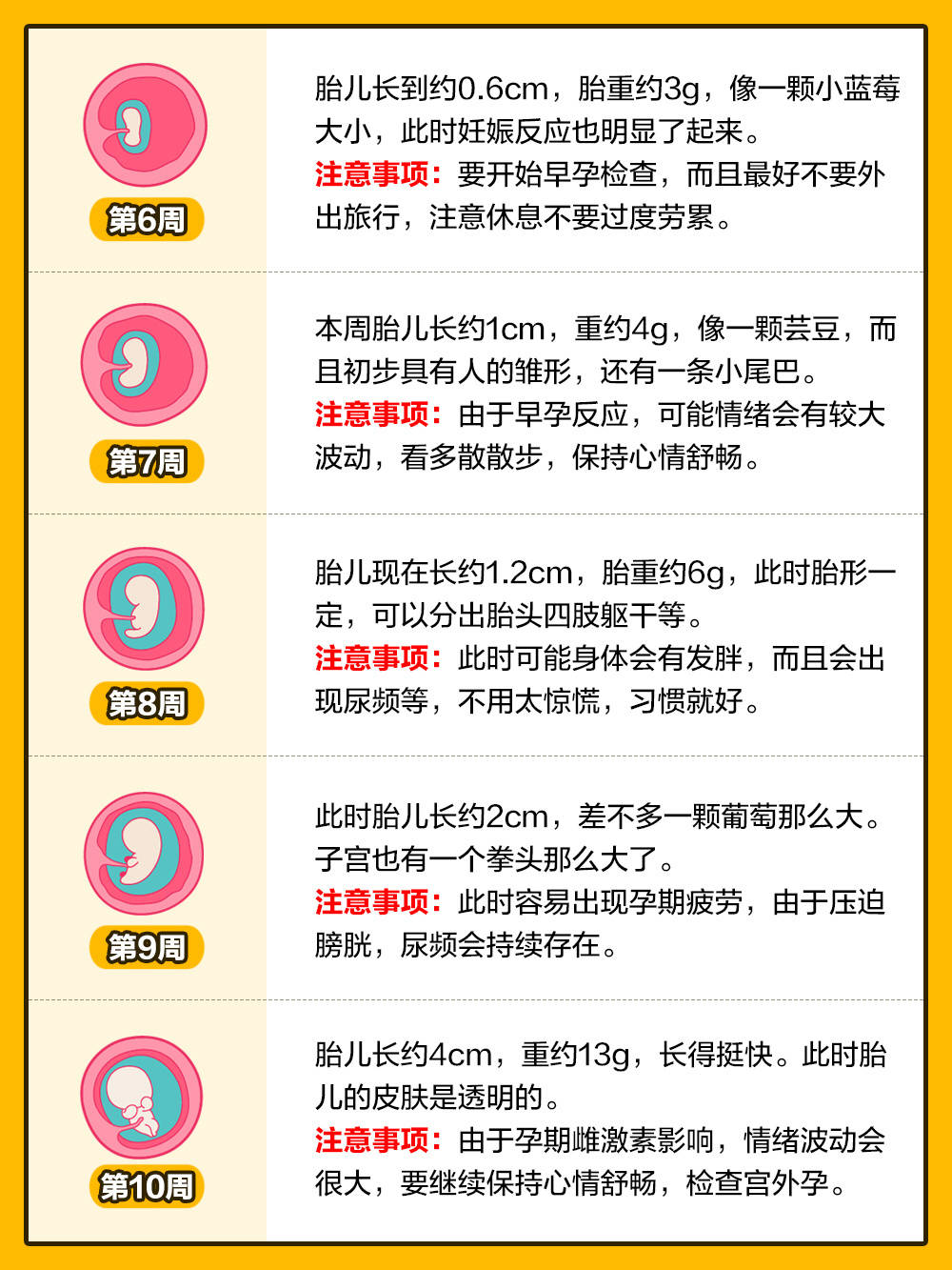 孕期1-40周胎儿发育全过程,包括怀孕每月所需营养,超级详细!_补充