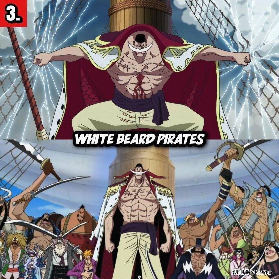 海贼团排名_草帽海贼团