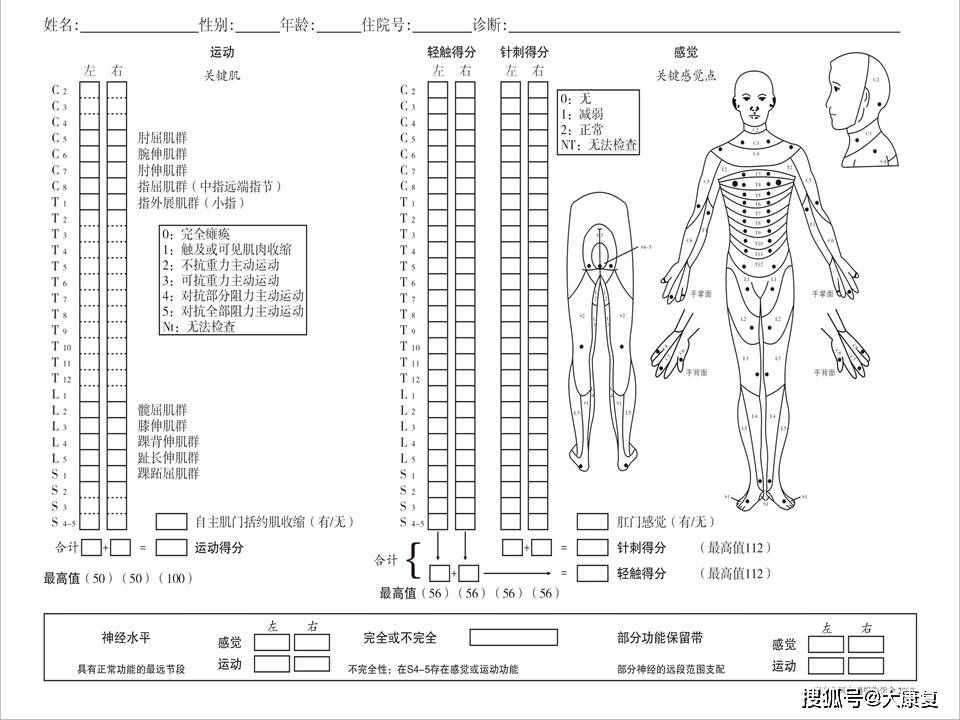 脊髓损伤的评定