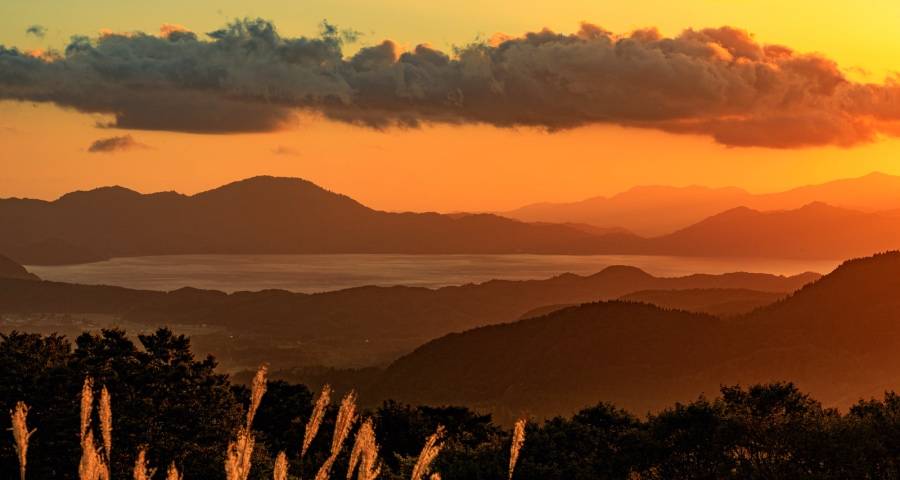 这几年中国家电到底哪里生变了？-家电圈官网