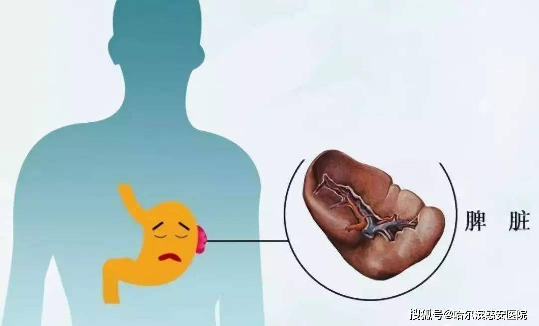 725b4a4cbd0a4d84824954a6aa9d7273.jpeg