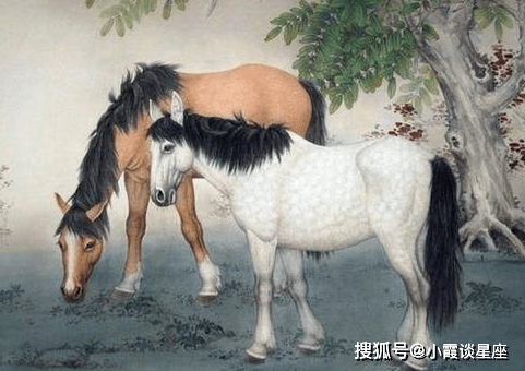 原创这三大生肖情人最多真是处处留情啊你身边有这样的生肖吗