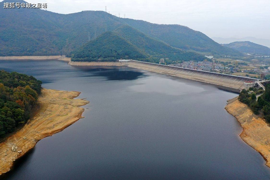 象山仓岙水库红杉很美岁月沧桑