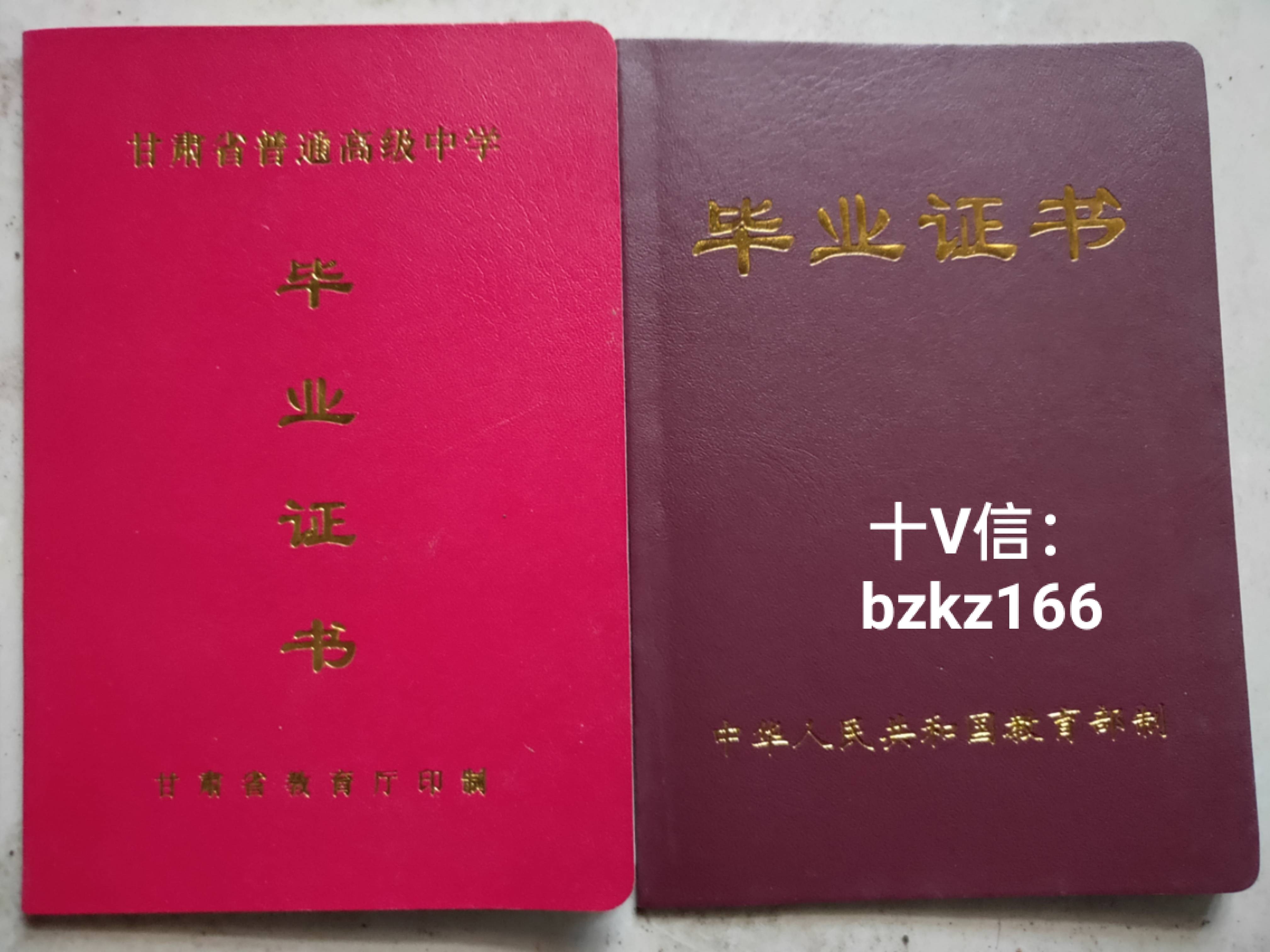 甘肃毕业证补办 来自搜狐网