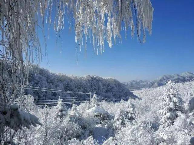 宝鸡这里雪景迷人,岭南公园成网红打卡胜地!