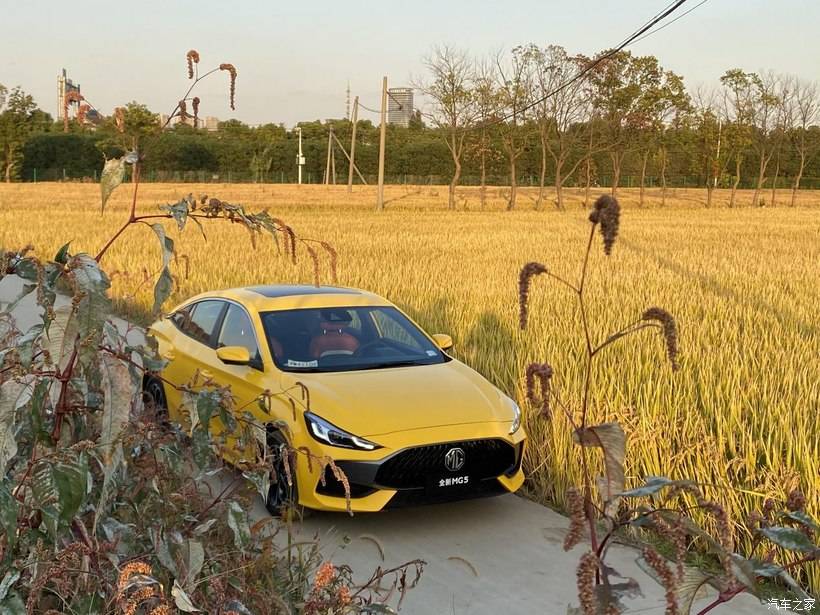 汽车热度排行_汽车搜索热度排行榜:丰田全球第一,特斯拉中国第一