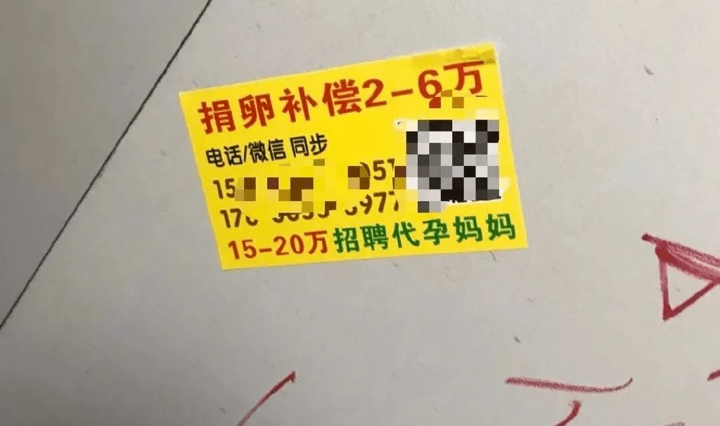 有不少黑中介已经开始明目张胆地发放招募捐卵志愿者的广告,卵子像