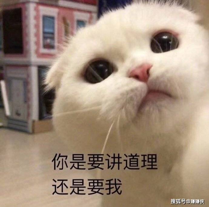 熊猫头表情包图片不了不了这个真的伤身体