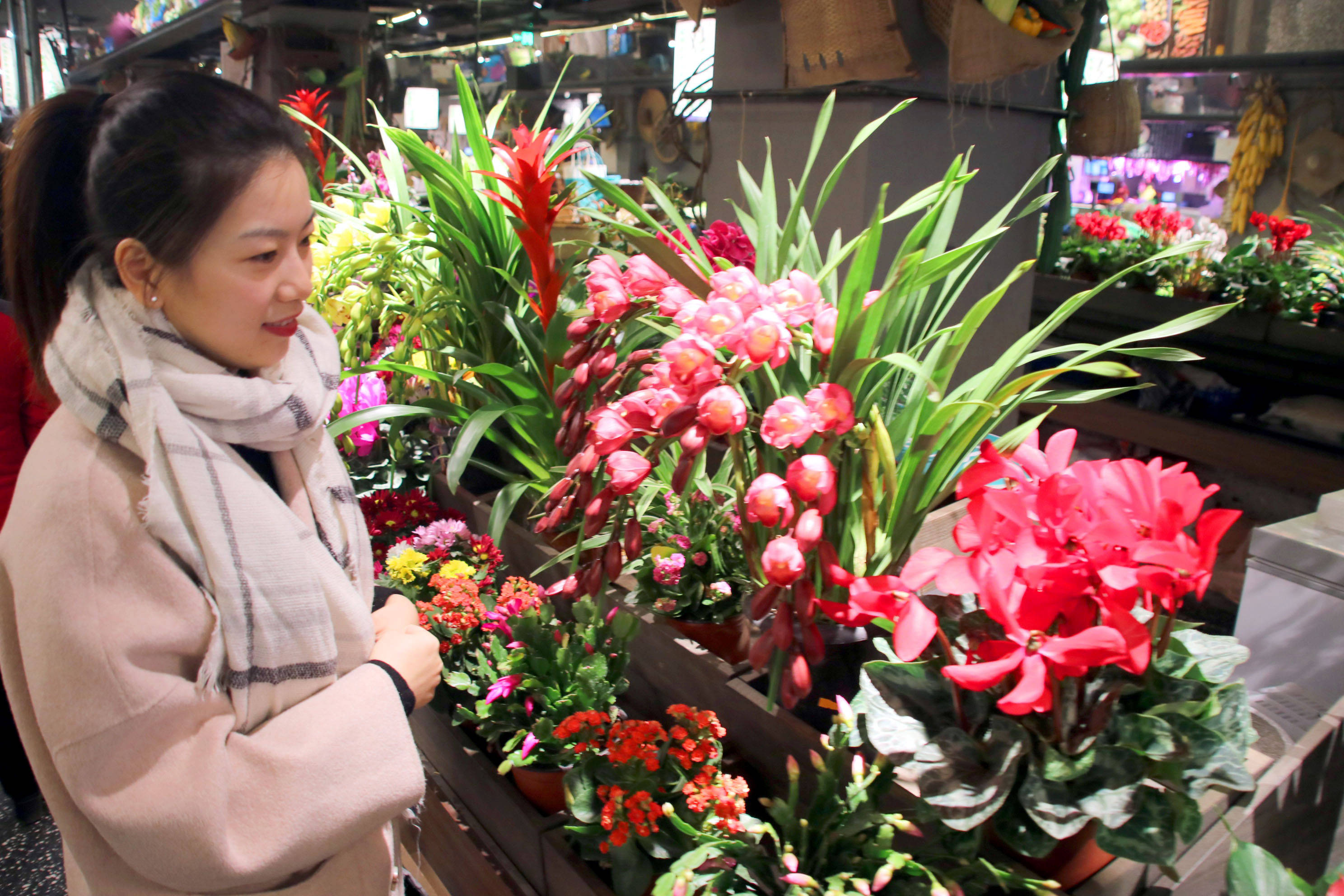 随着新年的临近,江苏苏州各大花卉市场和鲜花商店生意红火,不少市民