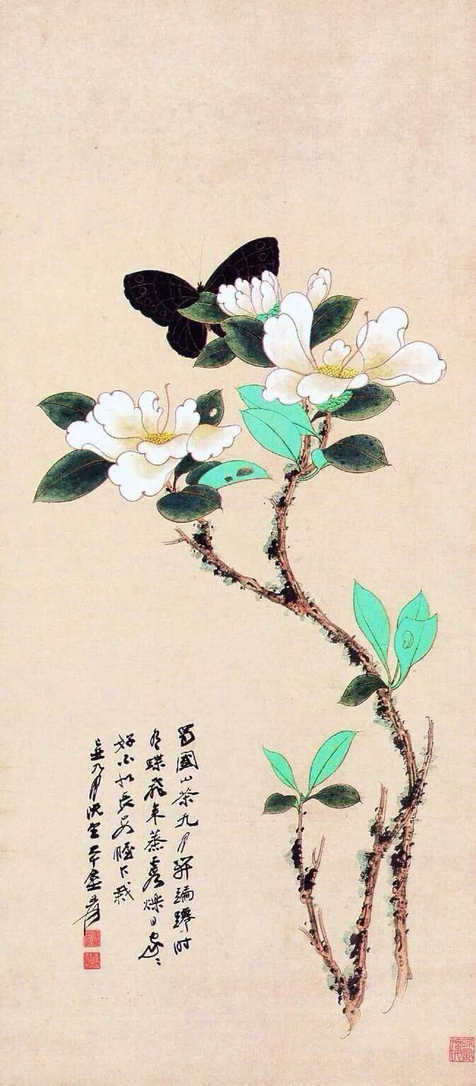 张大千花鸟画(高清100幅)