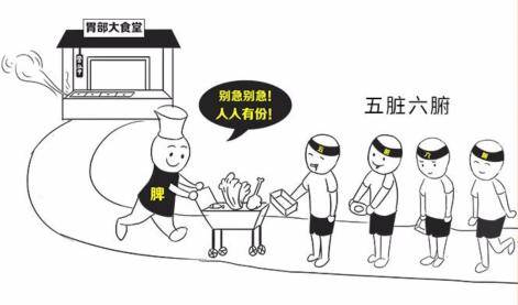 怎么调理脾胃改善腹胀 436f8126a2c84e2a838e3a4f5595c534.jpeg