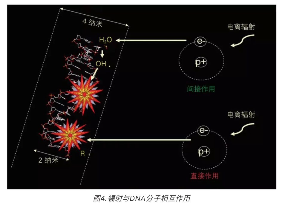 非电离辐射对于人体的作用就是:加热.