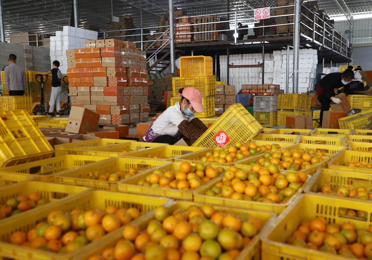 这个很多潍坊人都不知道的水果批发市场，100+就能拿下500块钱的水果..._西瓜