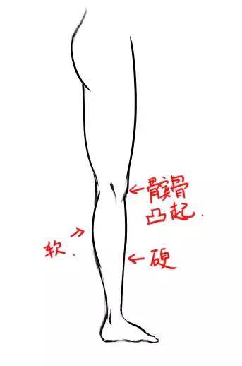 ff8bdcc07b8749d3bca718c4f9c11529.jpeg