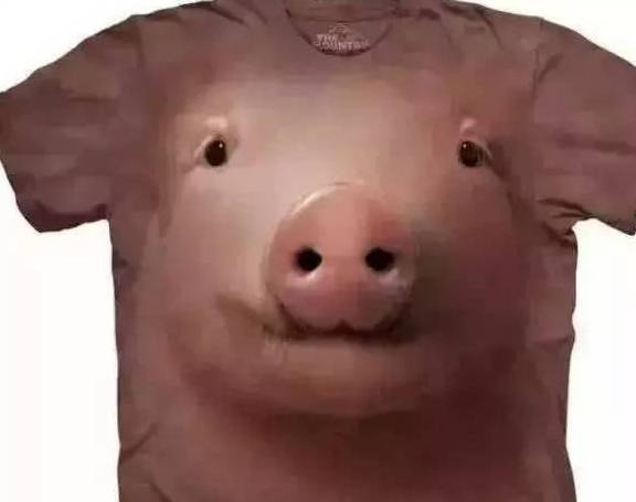 004720a05715487aa967aa5468ea7261.jpeg