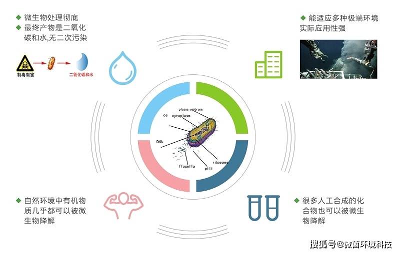 你必须要知道的生物除臭剂八大优势