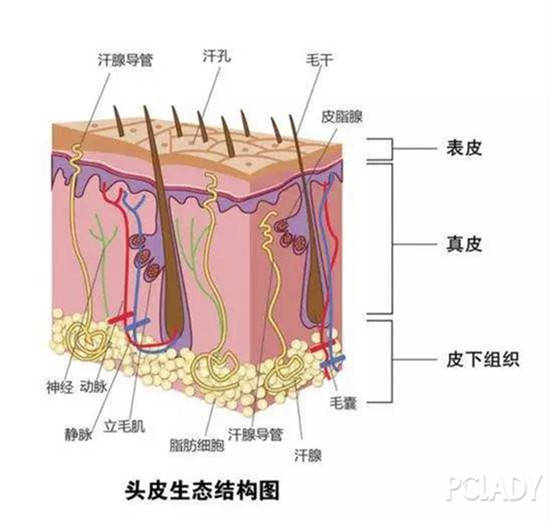 629a2e0755c14aba9508c8f40768d5ee.jpeg